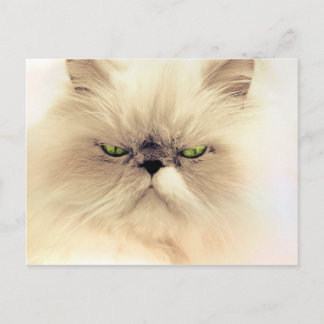 Fluffy Gruffy Kitty Briefkaart