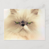 Fluffy Gruffy Kitty Briefkaart (Voorkant)