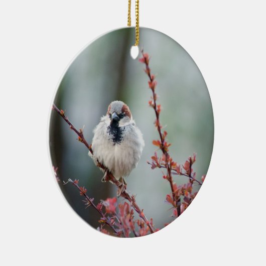 Fluffy Grump Keramisch Ornament (Rechts)