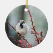 Fluffy Grump Keramisch Ornament (Voorkant)