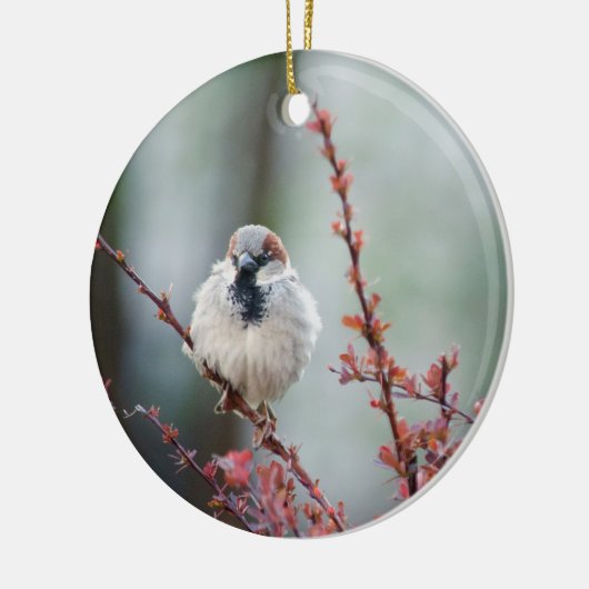 Fluffy Grump Keramisch Ornament (Links)