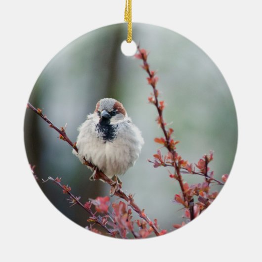 Fluffy Grump Keramisch Ornament (Achterkant)