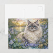 Fluffy Himalayan Cat In Purple Garden at Sunrise Briefkaart (Voorkant / Achterkant)