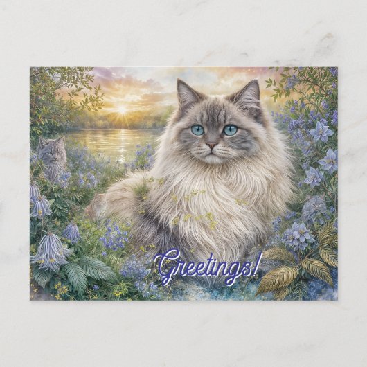 Fluffy Himalayan Cat In Purple Garden at Sunrise Briefkaart (Voorkant)