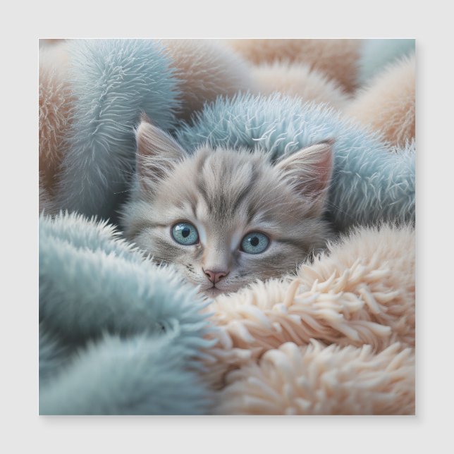 Fluffy Katje in een Zachte Deken (Voorkant)