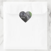 Fluffy Keeshond Hart Sticker (Tas)