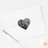 Fluffy Keeshond Hart Sticker (Envelop)