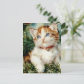 Fluffy kerstkat Waterverf Briefkaart (Staand voorkant)