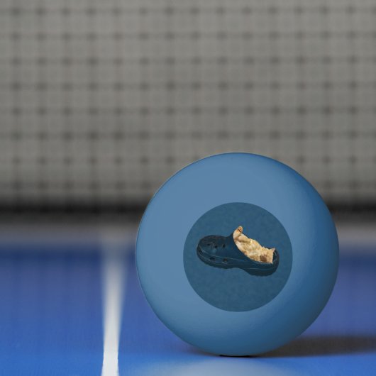 Fluffy Kitten die in een steegschoen slapen, pinge Pingpongbal (Net)