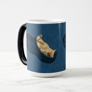 Fluffy Kitten die slapen in croc-schop, magische M Magische Mok