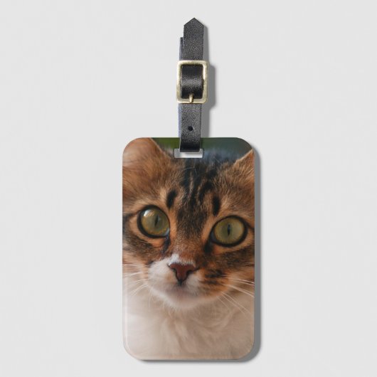 Fluffy Kitten met groene ogen Foto Bagagelabel (Voorkant (verticaal))