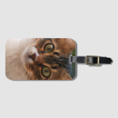 Fluffy Kitten met groene ogen Foto Bagagelabel (Voorkant (horizontaal))