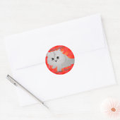 Fluffy Kitten Stickers (Envelop)