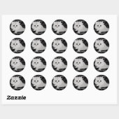 Fluffy Kitten Stickers (Vel)