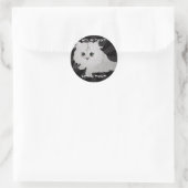 Fluffy Kitten Stickers (Tas)