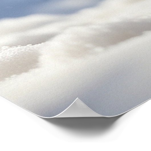 *~* Fluffy Kitty Cat 5:4 Kitten AP68 Sneeuwbel Poster (Hoek)