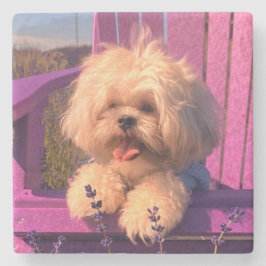 Fluffy Knuffel Shih Tzu Speelgoed Puppies, Gelukki Stenen Onderzetter