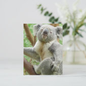Fluffy Koala Briefkaart (Staand voorkant)
