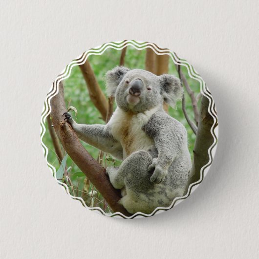 Fluffy Koala Button (Voorkant)