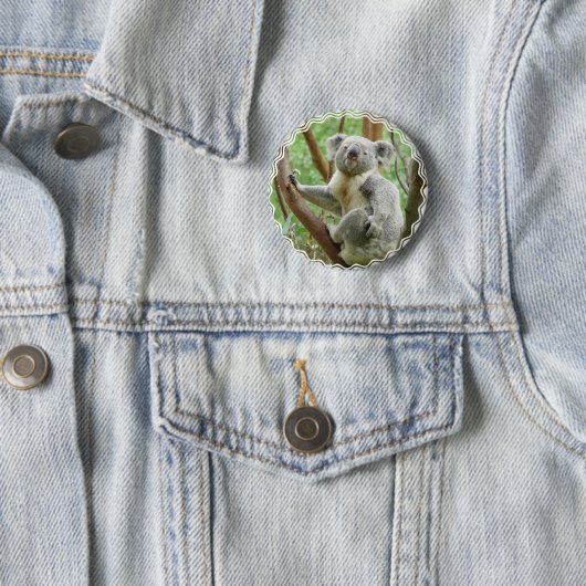Fluffy Koala Button (In situ)