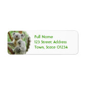 Fluffy Koala Mailing Labels (Voorkant)