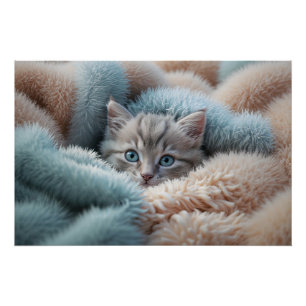 Fluffy Konijn is vervangen door: Zachte Kitten in Perfect Poster