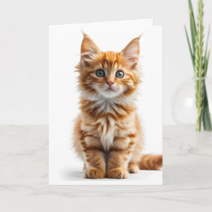 Fluffy langharige Oranje Tabby Cat Blank Kaart