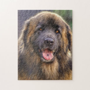 Fluffy Leonberger dog Legpuzzel