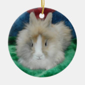 Fluffy Lionhead Bunny Rabbit Keramisch Ornament (Voorkant)