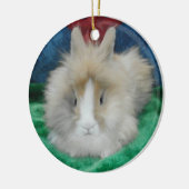 Fluffy Lionhead Bunny Rabbit Keramisch Ornament (Links)