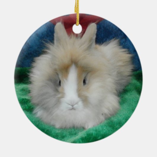 Fluffy Lionhead Bunny Rabbit Keramisch Ornament (Achterkant)