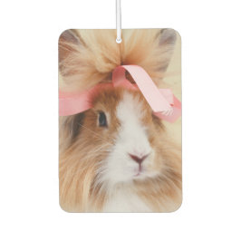 Fluffy Lionhead Bunny Rabbit Luchtverfrisser