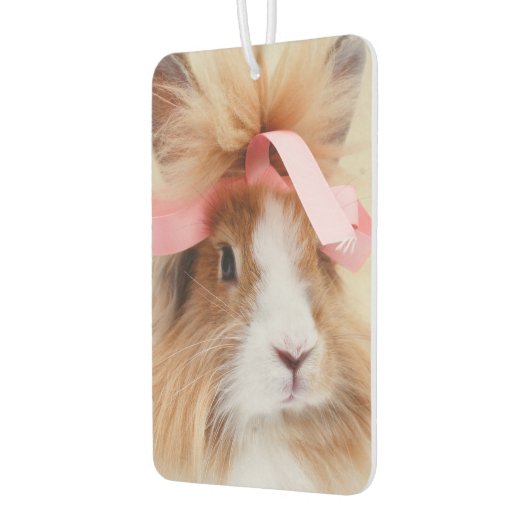 Fluffy Lionhead Bunny Rabbit Luchtverfrisser (Links)