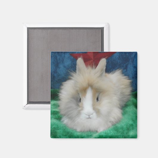 Fluffy Lionhead Bunny Rabbit Magneet (Voorkant / Achterkant)