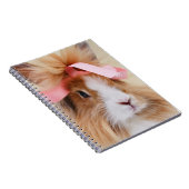 Fluffy Lionhead Bunny Rabbit Notitieboek (Rechterzijde)