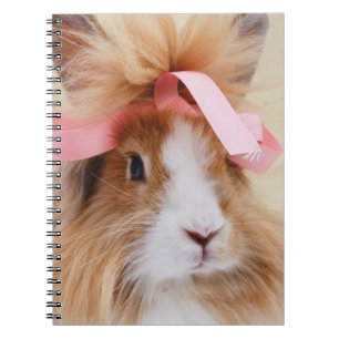 Fluffy Lionhead Bunny Rabbit Notitieboek
