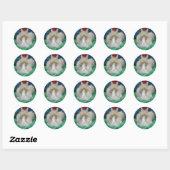 Fluffy Lionhead Bunny Rabbit Ronde Sticker (Vel)