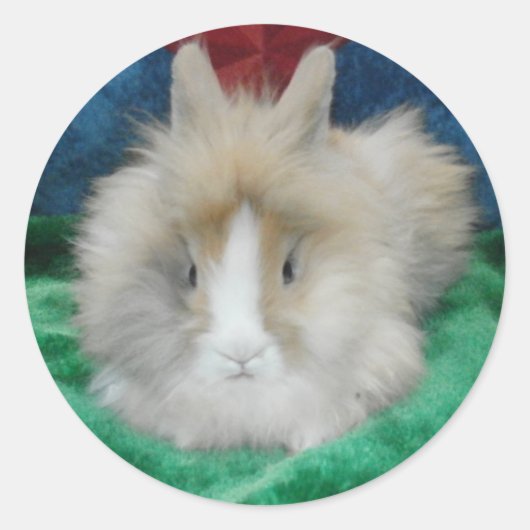 Fluffy Lionhead Bunny Rabbit Ronde Sticker (Voorkant)