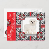 Fluffy Little Dog wenst je een witte kerst Feestdagenkaart (Voorkant / Achterkant)