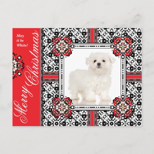 Fluffy Little Dog wenst je een witte kerst Feestdagenkaart (Voorkant)