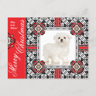Fluffy Little Dog wil je een wit kerstfeest geven Feestdagenkaart