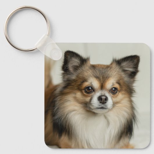 Fluffy Long Hazard Chihuahua Puppy Dog Sleutelhanger (Voorkant)