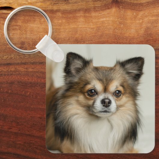 Fluffy Long Hazard Chihuahua Puppy Dog Sleutelhanger (Voorkant)