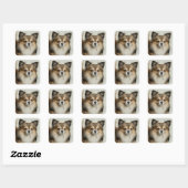 Fluffy Long Hazard Chihuahua Puppy Vierkante Sticker (Vel)