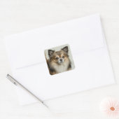 Fluffy Long Hazard Chihuahua Puppy Vierkante Sticker (Envelop)