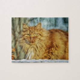 Fluffy Long-Hazard Oranje Manly Cat Legpuzzel
