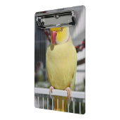 Fluffy Lutino Indian Ringnek Paraket Mini Klembord (Angled2)