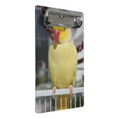 Fluffy Lutino Indian Ringnek Paraket Mini Klembord (Schuin)