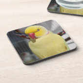 Fluffy Lutino Indian Ringnek Paraket Onderzetter (Linkerzijde)