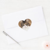 Fluffy Maine Coon Cat Hart Sticker (Envelop)
